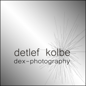 dex - photography - Hochzeits- & Portraitfotograf, Hochzeitsfotograf · Video Elsterberg, Logo