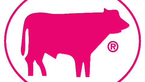 Pinkbulle | Festscheune & Partyservice, Technik · Verleih · Zelte Raschau-Markersbach, Logo